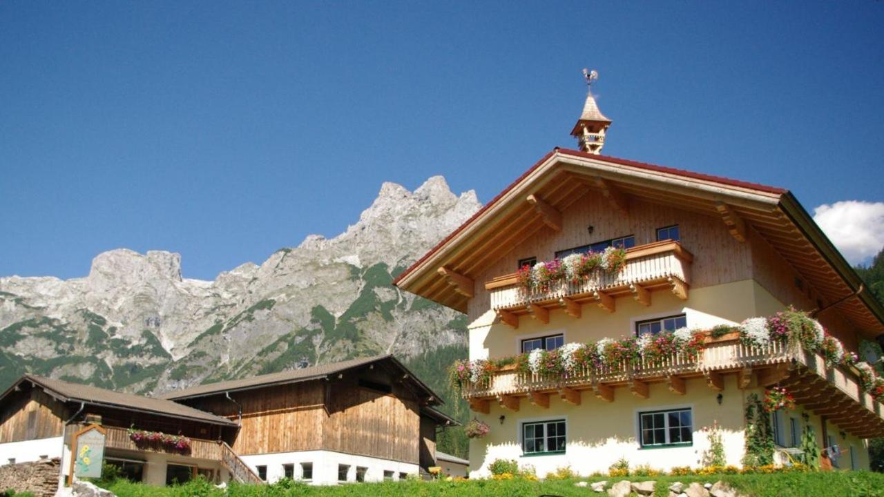 Bio Bauernhof Vorderoberlehen Hotel Werfenweng Exterior photo
